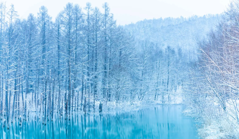 倉庫移転のお知らせ